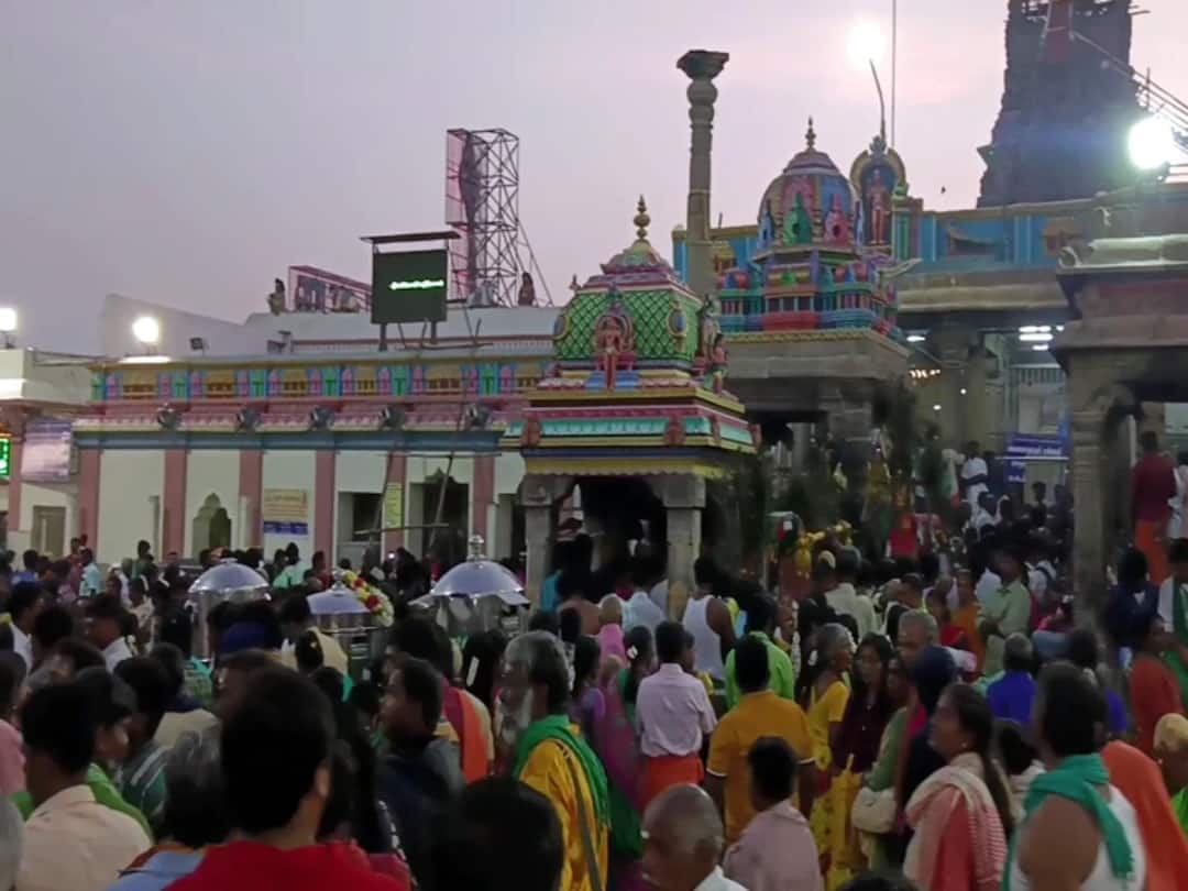 பழனி முருகன் கோவில் கார்த்திகை மாத உற்சவ விழா - திரளான பக்தர்கள் பங்கேற்பு Dindigul, Palani Murugan Temple held the festival of Karthigai month TNN பழனி முருகன் கோவில் கார்த்திகை மாத உற்சவ விழா - திரளான பக்தர்கள் பங்கேற்பு