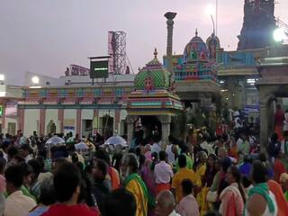 பழனி முருகன் கோவில் கார்த்திகை மாத உற்சவ விழா  - திரளான பக்தர்கள் பங்கேற்பு