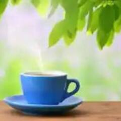 Morning Tea Benefits : সকালের চায়ে এত গুণ জানলে অবাক হবেন !