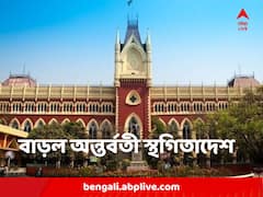 ডিএলএড কোর্সে ভর্তির প্রক্রিয়ায় বাড়ল অন্তর্বর্তী স্থগিতাদেশের মেয়াদ