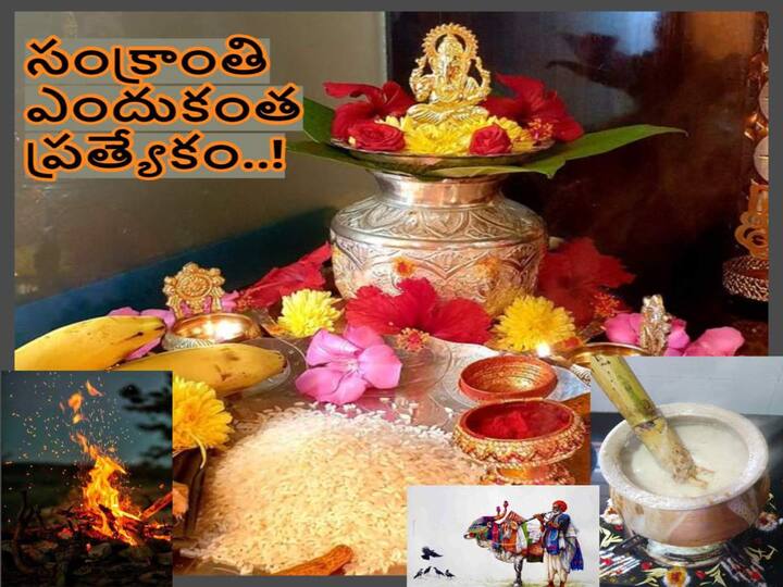 Importance of Sankranti In Telugu: What Is The Reason Sankranti Being Called pedda panduga, Significance of Makar Sankranti Importance of Sankranti In Telugu: సంక్రాంతినే పెద్దపండుగ, పెద్దలపండుగ అంటారెందుకు, దీని విశిష్టత ఏంటి!