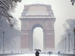 Snowfall Pictures: ਇੰਡੀਆ ਗੇਟ 'ਤੇ ਬਰਫਬਾਰੀ! ਪਹਾੜਾਂ ਦਾ ਰਿਕਾਰਡ ਤੋੜ ਰਹੀ ਹੈ ਦਿੱਲੀ, ਕੀ ਹੁੰਦਾ ਜੇ ਇੱਥੇ ਬਰਫ ਪਈ ਹੁੰਦੀ ਤਾਂ?