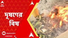 শহরের বাতাসে দূষণের বিষ, শরীরে থাবা বসাতে পারে বিভিন্ন মারণ রোগ, আশঙ্কা বিশেষজ্ঞদের