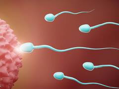 கொரோனா தொற்று பாதிப்பால் இதன் திறன் குறையுமா? எய்ம்ஸ் வெளியிட்ட அதிர்ச்சி ரிப்போர்ட்..