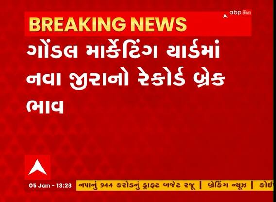 ગોંડલ માર્કેટિંગ યાર્ડના ઈતિહાસમાં પ્રથમ વખત નવા જીરાનો ભાવ 36 હજારને પાર પહોંચ્યો, ખેડૂતો થયા ખુશ