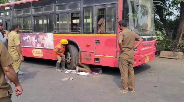 यावेळी बसच्या इंजिन आणि चाकाच्यामध्ये मांजरीचं एक छोटं पिल्लू अडकल्याचे चालकाच्या लक्षात आले