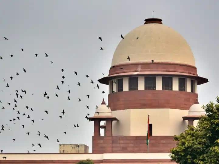 Supreme Court says addiction to alcohol cannot be equated with unsound mind to escape prosecution in a criminal case बच्चों के कातिल ने शराब का लती कहकर लगाई थी गुहार, Supreme Court ने रिजेक्ट कर दी याचिका
