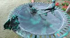 In Photos: બનાસકાંઠાના વિસ્તારોમાં કાતિલ ઠંડીનું મોજું, પાણી જામીને થઈ ગયો બરફ, જુઓ તસવીરો