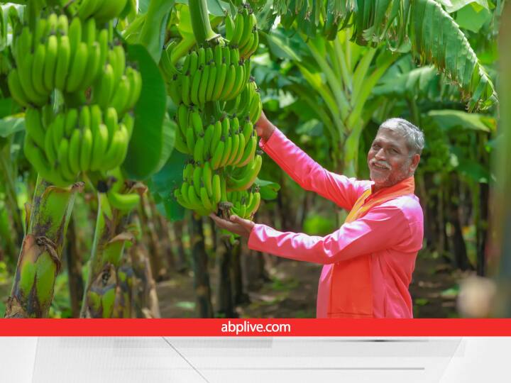 Banana can increase from Rs 500 to Rs 4000 a quintal, will be heavy on the pocket, due to these reasons the price increased
