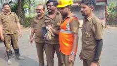 Thane : मांजरीच्या पिल्लानं चक्क दोन तास थांबवली बस; ठाण्यातील प्रकार, नेमकं काय झालं...