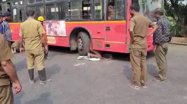 मात्र या संपूर्ण प्रकारामुळे बसची सेवा 2 तास ठप्प झाली.