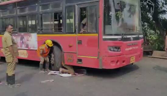 मात्र तासभर प्रयत्न करूनही ते पिल्लू काही बाहेर काढता आले नाही.