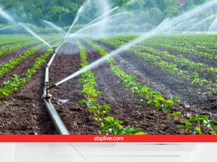 Rajasthan Govt provide upto 60 percent Subsidy on the purchase of Irrigation Pipeline to the farmers Irrigation Scheme: किसानों को सब्सिडी पर मिल रही है सिंचाई की पाइप लाइन, अब बिना बर्बाद हुए फसल तक पहुंचेगा पानी