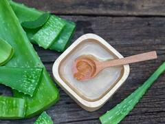 Skincare Routine In Winter : குளிர்கால சரும பராமரிப்பு குறித்து கவலையா? கற்றாழை  இருக்க பயமேன்!