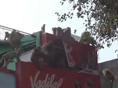 चित्रकूट: बंदरों के दो गुटों के बीच जबरदस्त झगड़ा, जमकर हुई तोड़फोड़, घरों में छुप गए लोग