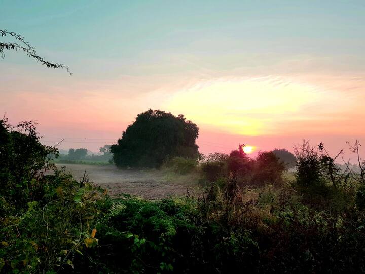 मागील काही दिवसापासून थंडीचा कडाका वाढला आहे. लातूर जिल्ह्यातील अनेक भागात दाट धुके पडलेले पाहायला मिळत आहे.