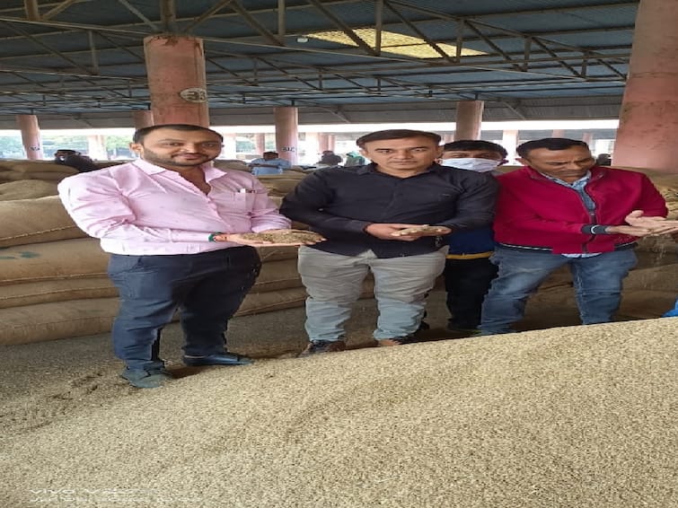 Gujarat Agriculture News: Jeera gets highest ever price in Gondal APMC Gujarat Agriculture News: ગોંડલ માર્કેટિંગ યાર્ડના ઈતિહાસમાં જીરાનો બોલાયો રેકોર્ડ ભાવ, આંકડો જાણીને ચોંકી જશો