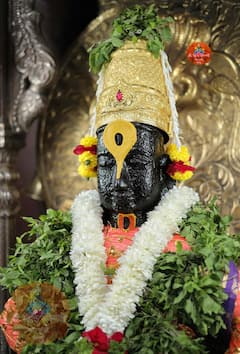 PHOTO : विठ्ठलाच्या खजिन्यात खऱ्या दागिन्यांसह पोतेभरुन खोटे दागिने जमा