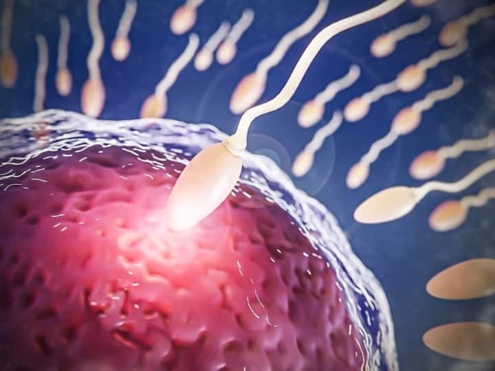 Coronavirus affects men sperm quality Shocking revelation in new study Covid-19: कोरोना से मर्दों की Sperm क्वॉलिटी पर पड़ रहा असर, नई स्टडी में चौंकाने वाला खुलासा