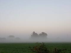 PHOTO : लातूरमध्ये धुक्याची चादर, सूर्योदयानंतरची नयनरम्य दृश्ये
