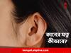 Earache Home Remedies: শীতকালে কানে ব্যথা? কোন টোটকায় মিলবে উপশম?
