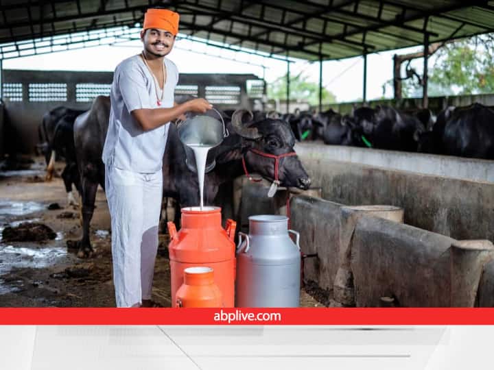 UP has selected 190 model villages to increase the income of farmers through milk and dairy business Dairy Farming: दूध के कारोबार के लिए इस राज्य ने चुने 190 आदर्श गांव, किसानों की इनकम बढ़ाने के लिए बनाया ये प्लान