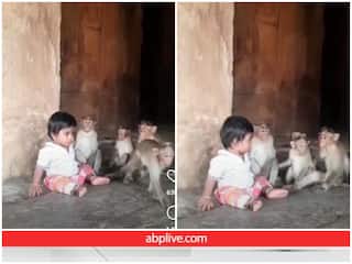 बंदरों के साथ बच्चे को खेलता देख हैरान रह जाएंगे आप, दिल जीत रहा है ये Video