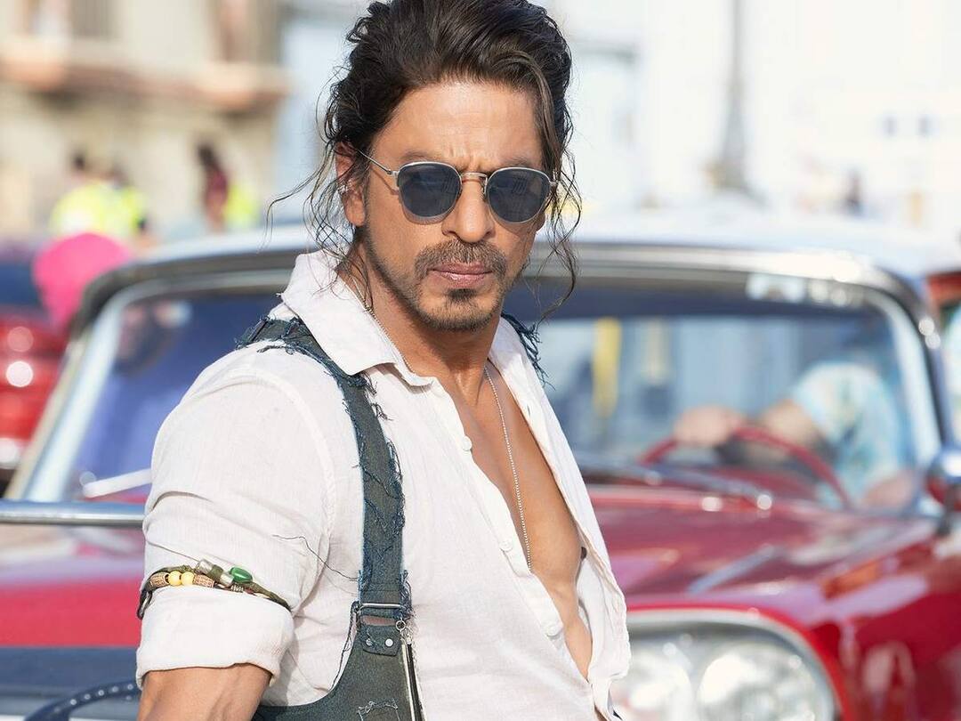 Shah Rukh Khan Shuts Down Troll Who Calls Pathaan Disaster, Check Details Shah Rukh Khan: ‘పఠాన్’ డిజాస్టర్, రిటైర్మెంట్ తీసుకో, షారుఖ్‌పై ట్రోలింగ్ - అదిరిపోయే రిప్లై ఇచ్చిన కింగ్ ఖాన్