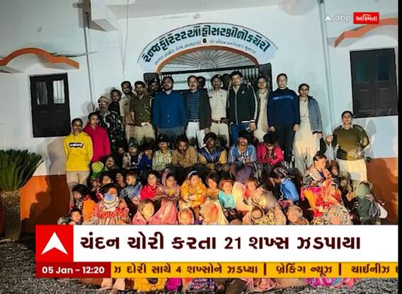Junagadh: સાસણના જંગલમાં ચંદનની ચોરી કરતી 21 લોકોની ગેંગ ઝડપાઈ