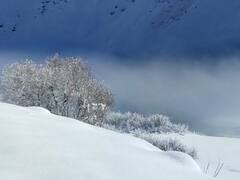 लद्दाख के द्रास में -25 डिग्री सेल्सियस तापमान के बीच खेला जा रहा है आइस हॉकी, देखें तस्वीरें