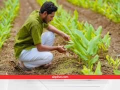 जैविक खेती को लेकर किसानों के मन में भ्रम, क्या सच में कम हो जाता है प्रोडक्शन, यहां जानें