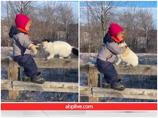 बच्चे ने बिल्ली को ऐसे लगाया गले कि वायरल हो गया ये क्यूट Video