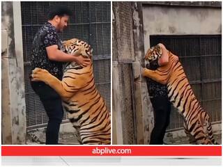 बाघ को पालतू की तरह गले लगा रहा है लड़का, Video देख लोगों का चकराया सिर