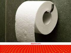 हमेशा सफेद ही क्यों होता है टॉयलेट पेपर?... रंग बिरंगा क्यों नहीं! जानिए क्या है वजह