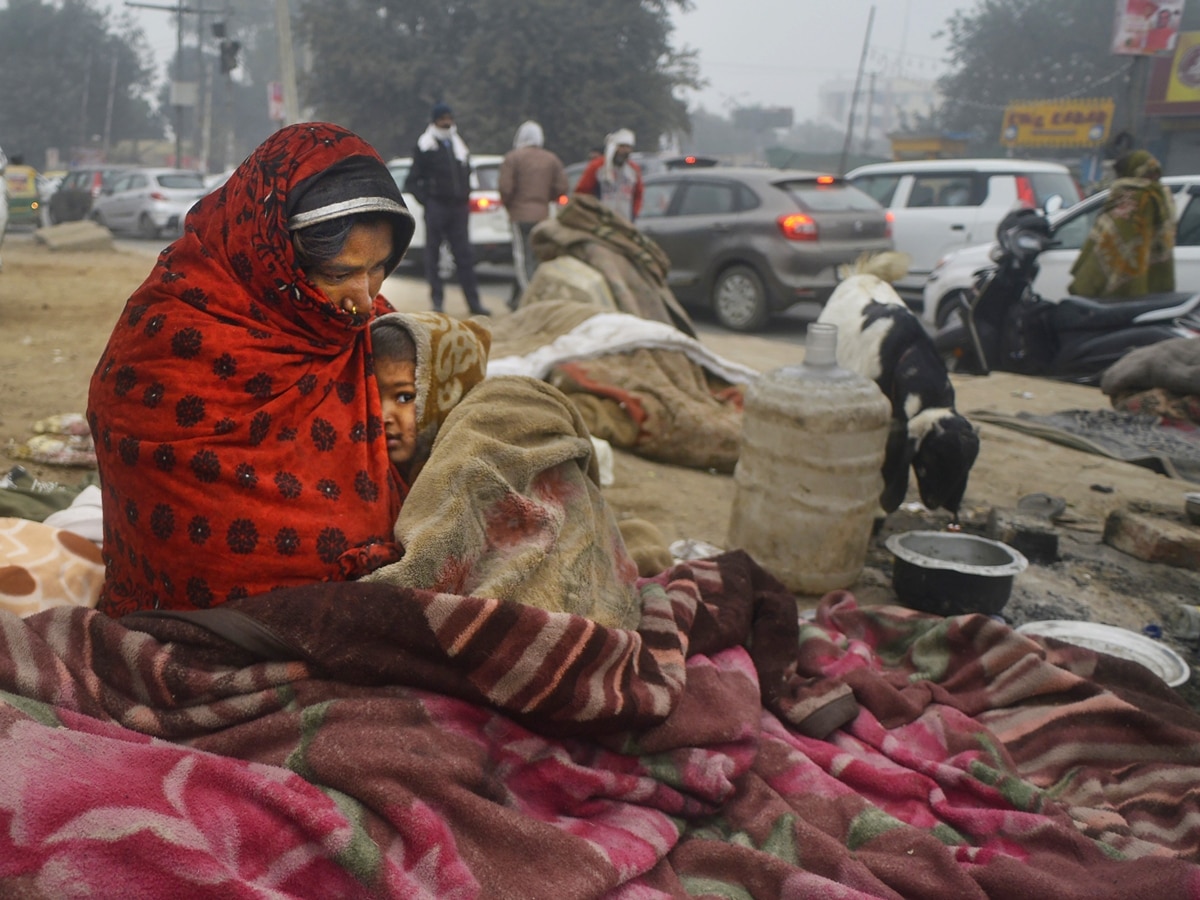 Cold Wave: Northern States In Grip Of Severe Winter, Rajasthan's Bikaner Records Zero Degrees