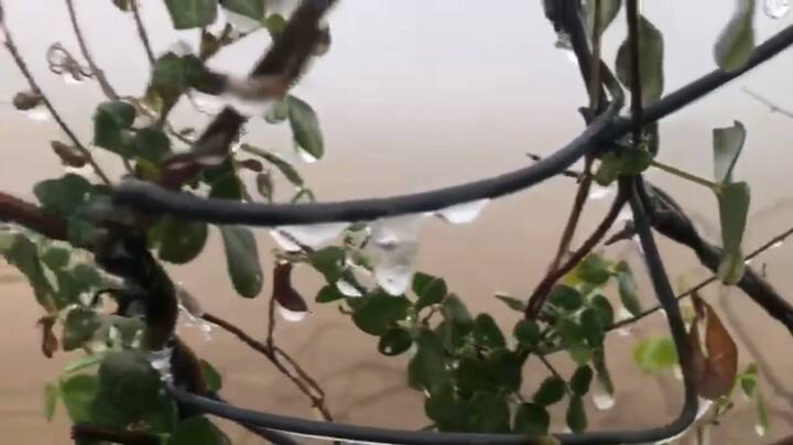 देशभर में शीत लहर का कहर जारी है. राजस्थान के कई जिलों में पारा जमाव बिंदु पर अटका हुआ है. कड़ाके की ठंड के चलते लोगों का जनजीवन अस्त-व्यस्त हो चुका है. कड़ाके की ठंड से बचाव के लिए कई लोग अलाव करते दिख रहे हैं.