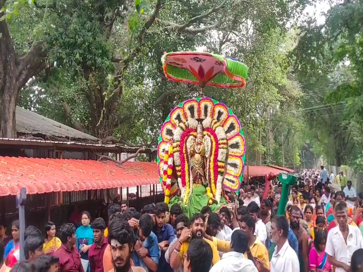 Thiruvannamalai : பக்தர்கள் பரவசம்.. ஆனந்த நடனமாடும் நடராஜர்.. திருவண்ணாமலை அண்ணாமலையார் கோயிலில் ஆருத்ரா தரிசனம்