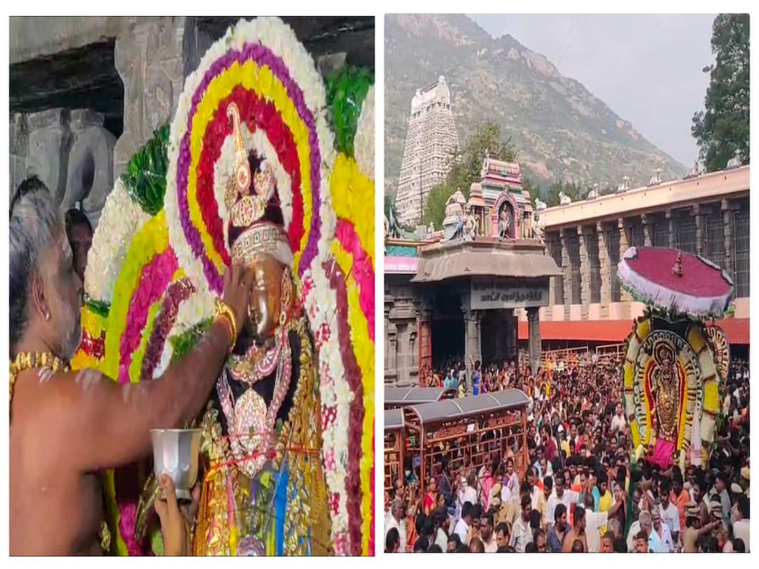 Thiruvannamalai : பக்தர்கள் பரவசம்.. ஆனந்த நடனமாடும் நடராஜர்.. திருவண்ணாமலை அண்ணாமலையார் கோயிலில் ஆருத்ரா தரிசனம் arudra darshan was held at Tiruvannamalai annamalaiyar Temple in maha deepam for the blissful dancing Nataraja Thiruvannamalai : பக்தர்கள் பரவசம்.. ஆனந்த நடனமாடும் நடராஜர்.. திருவண்ணாமலை அண்ணாமலையார் கோயிலில் ஆருத்ரா தரிசனம்