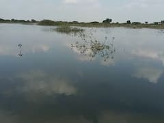 1958 सालची 'ती' घटना उस्मानाबादमधील अख्ख्या गावाला महागात पडली! तीनशे कुटुंब रस्त्यावर- नेमकं काय आहे प्रकरण