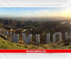 बॉलिवुड, हॉलिवुड आणि टॉलिवुड... यामधील 'वुड'चा अर्थ काय?