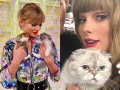Taylor Swift Cat: बिल्ली से बच्चे की तरह प्यार करती हैं टेलर स्विफ्ट, तस्वीरों में देखें मालकिन और ओलिविया बेनसन के बीच प्यारा बॉन्ड