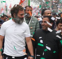 हरियाणा में कांग्रेस की भारत जोड़ो यात्रा, बच्चों के साथ कुछ इस अंदाज में दिखे राहुल गांधी- देखें ये तस्वीरें