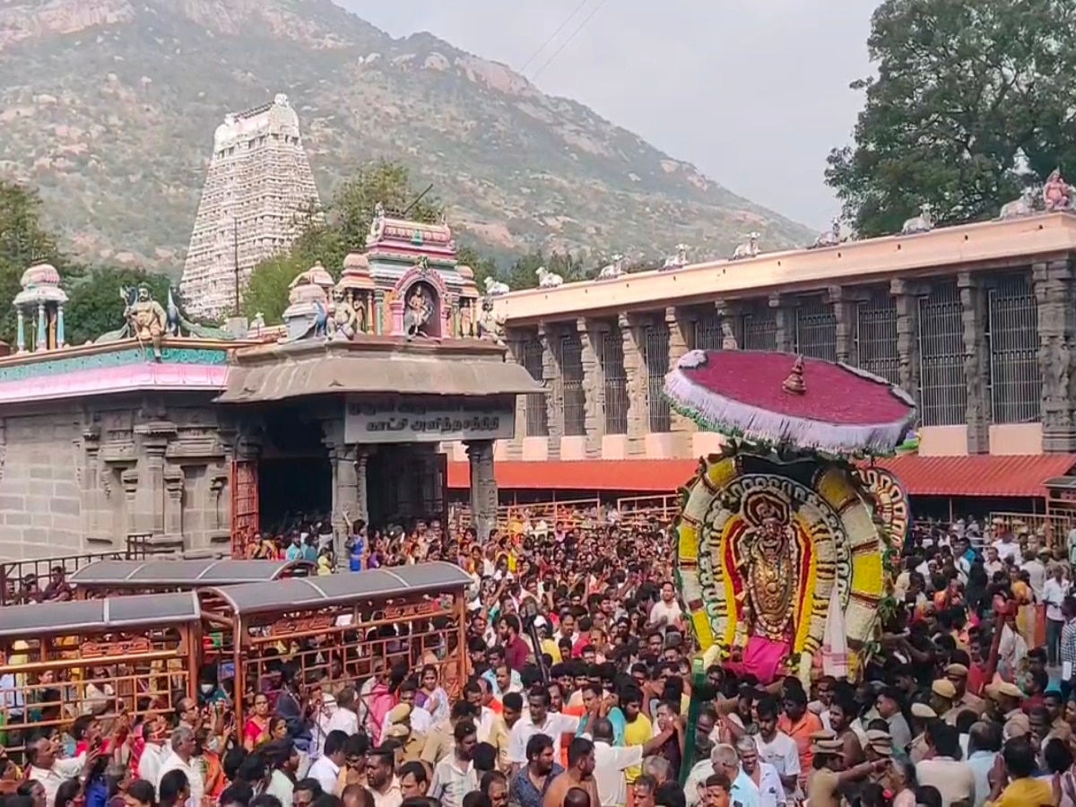 Thiruvannamalai : பக்தர்கள் பரவசம்.. ஆனந்த நடனமாடும் நடராஜர்.. திருவண்ணாமலை அண்ணாமலையார் கோயிலில் ஆருத்ரா தரிசனம்