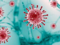 Covid Care: આ ઘરેલું ઉપચાર બનશે કોરોના માટે રામબાણ ઉપાય