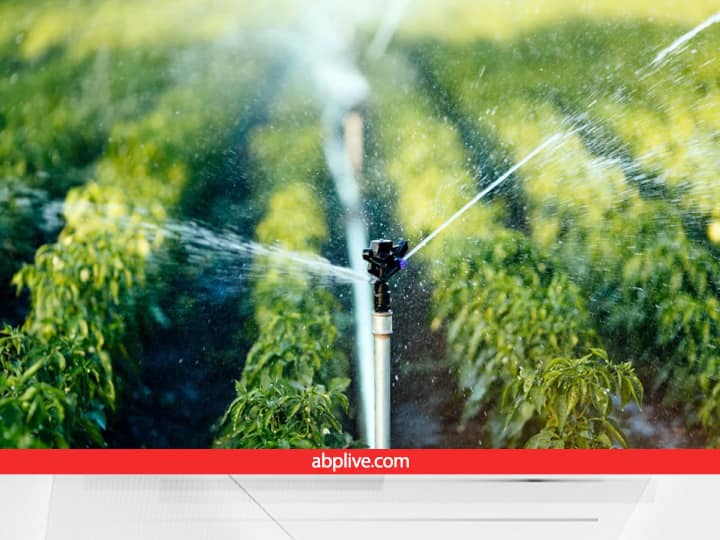 Haryana govt plan to Provide Subsidy to Farmers for recharging ground water level in the Agriculture field Ground Water Recharging: गिरते भूजल स्तर से सिमट रही खेती को बचाने की तैयारी, ये तरीके अपनाने पर किसानों को सब्सिडी देगी सरकार