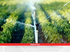 गिरते भूजल स्तर से सिमट रही खेती को बचाने की तैयारी, ये तरीके अपनाने पर किसानों को सब्सिडी देगी सरकार