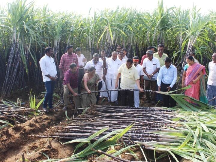 பொங்கல் தொகுப்பில் வழங்கப்படும் கரும்பு கொள்முதல், விலை குறித்து சேலம்  ஆட்சியர் ஆய்வு