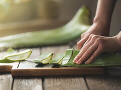 Benefits Of Aloe Vera On Winter Skin