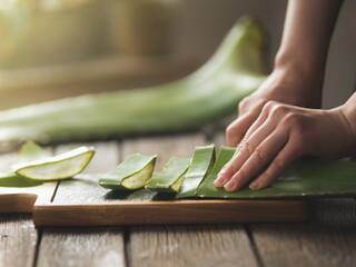 Benefits Of Aloe Vera On Winter Skin