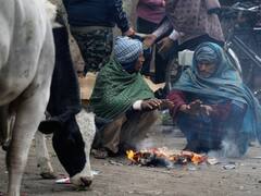 दिल्ली में कड़ाके की ठंड और कोहरे का कहर जारी, जानिए आज के मौसम का मिजाज, कबसे मिलेगी राहत